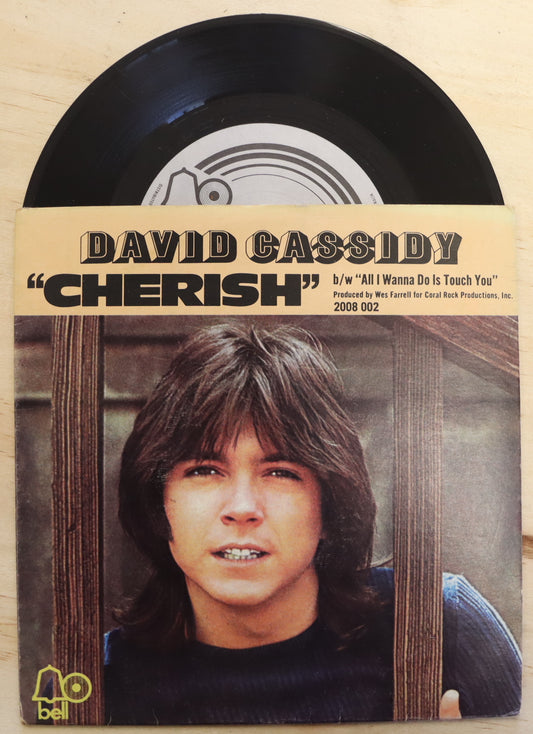 David Cassidy – Cherish (1972)